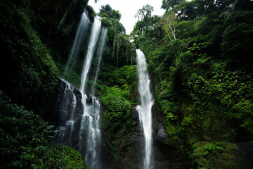 Fototapeta na wymiar View of jungle waterfall cascade in tropical rainforest