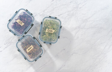 Growing sprouts in a jar