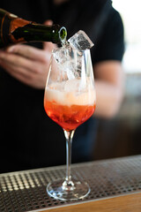 the bartender prepares a beautiful alcoholic cocktail at the bar counter