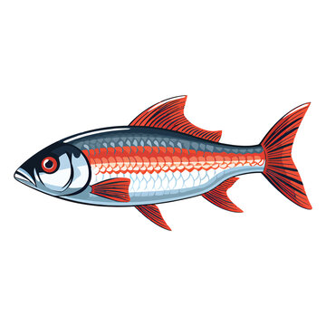 recommend clip art: Delicate Aquatic Charm: Longfin Zebra Danio Showcased in a Beautiful 2D Illustration