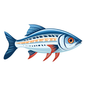 recommend clip art: Delicate Aquatic Charm: Longfin Zebra Danio Showcased in a Beautiful 2D Illustration