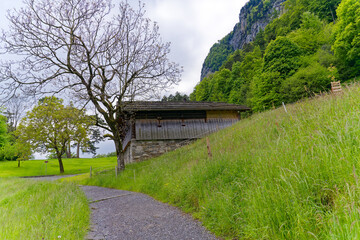 Fototapeta na wymiar Famous Rütli meadow where the foundation of historic Switzerland took place by the three cantons Uri, Schwyz and Unterwalden at border of Lake Uri. Photo taken May 18th, 2023, Rütli, Switzerland.