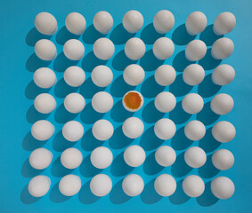 A large number of white eggs