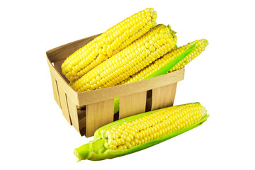 sweet corn in a basket isolated from the background