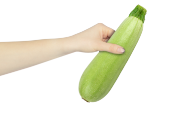 zucchini in hand isolated from background, concept to pass or throw away