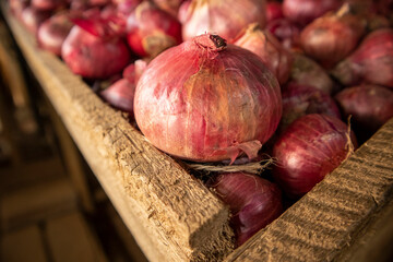 onions on a wooden table