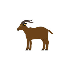 antelope vector