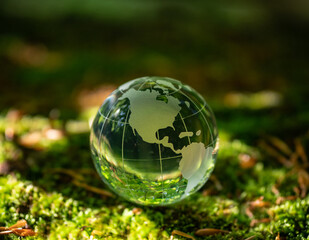 glass earth globe in forest.