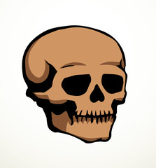 Vector drawing. Skull and neck bones