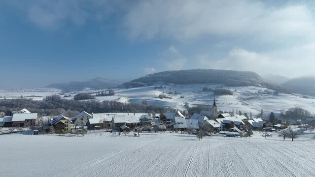 Bald tree in the snow, village view of Kilchberg, Basel-Landschaft, Switzerland, Europe