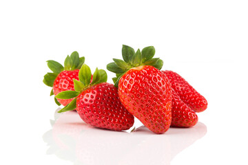 Red ripe strawberry fruits