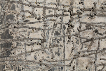 old grungy texture, grey concrete wall