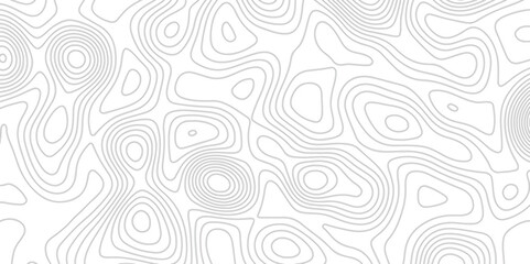  Background of the topographic map. White wave paper curved reliefs abstract background. Topographic line contour map background. Black and white topography contour lines map isolated.
