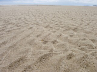 sandy beach without people
