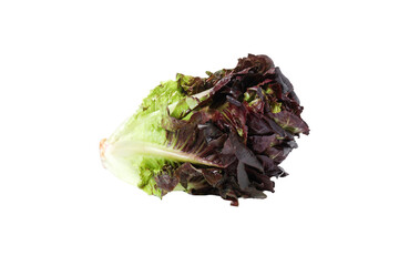 PNG, fresh summer food - lettuce isolated on white background