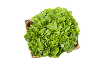 PNG, fresh summer food - lettuce isolated on white background