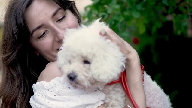 Slow motion pan around of dark haired woman in white top holding and cuddling to adorable Bichon Frise dog on summer day in park