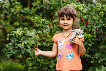 A cute little girl is picking red currant berries in the garden. Portrait of a smiling little girl eating fresh berries in the backyard. Fresh healthy organic food for young children.