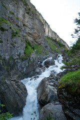 Mountain river going through a forest