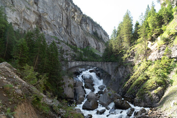 Mountain river going through a forest