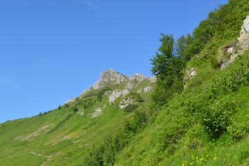 Fototapeta na wymiar In den Allgäuer Alpen