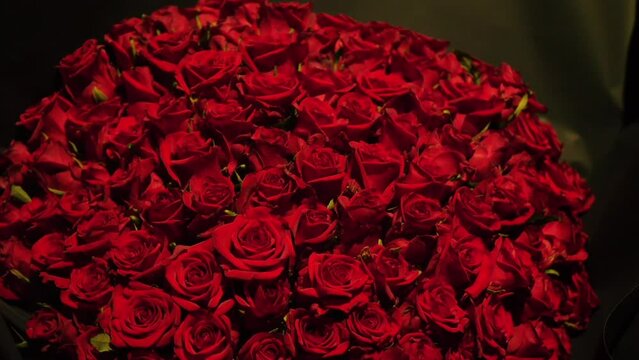 Huge beautiful bouquet of red roses, close-up. Blooming roses real treat. Wedding background, Valentine's day concept