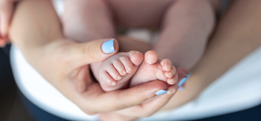 Close-up, the feet of a newborn in the hands of the mother.