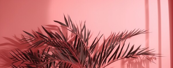 Banner blurred shadow from palm leaves on the pink wall. Minimal abstract background for product presentation. Ai generative.