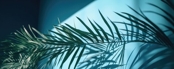 Fototapeta na wymiar Banner blurred shadow from palm leaves on the blue wall. Minimal abstract background for product presentation. Ai generative.