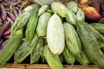 Fresh green zucchini for sale at a farmers market