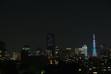 Fototapeta na wymiar Night view of Tokyo Tower