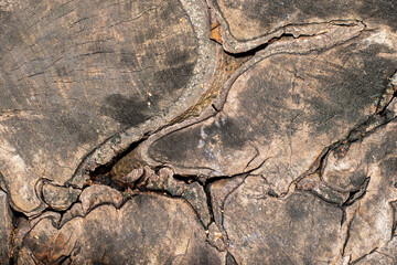 Contoured wood texture background surface