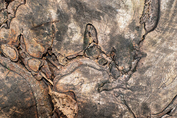 Contoured wood texture background surface
