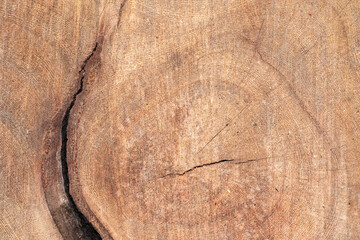 Contoured wood texture background surface