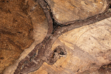 Contoured wood texture background surface