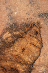 Contoured wood texture background surface