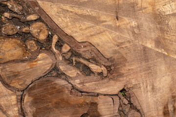 Contoured wood texture background surface