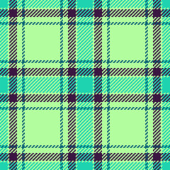 Vector check textile of pattern plaid fabric with a texture tartan seamless background.