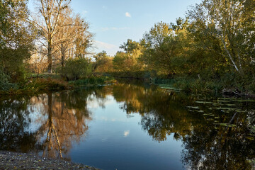 Fototapeta na wymiar A quiet and calm evening on a forest river, a calm expanse of water and autumn trees evoke a melancholy mood, a beautiful autumn landscape