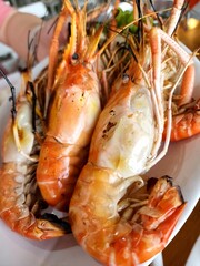 cooked shrimp on a plate