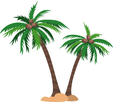 Vector clipart of two coconut palms on beach isolated on white background