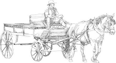 a cowboy is driving his horse-drawn carriage