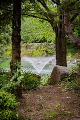 Jardin japonais en été à Dijon. Japanese garden in summer in Dijon.