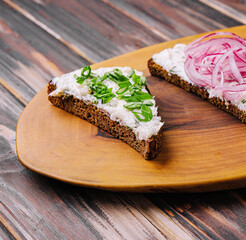 pieces of bread with delicious lard with red and green onions