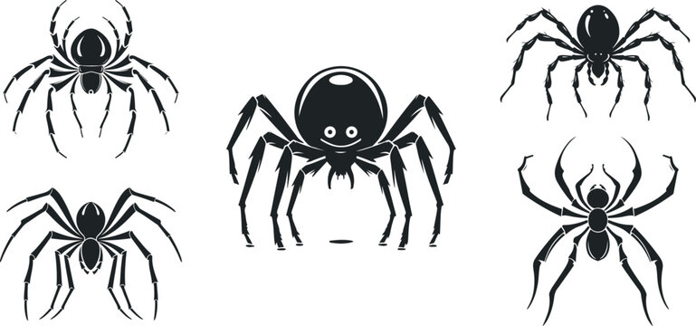 Spider black Silhouette vector isolated set on white background. close-up spider, scary big spider side and front view.