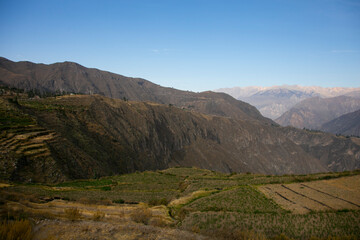 Hiking through the Colca Canyon following the route from Cabanaconde to the Oasis.