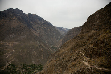 Hiking through the Colca Canyon following the route from Cabanaconde to the Oasis.
