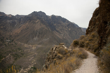 Obraz premium Hiking through the Colca Canyon following the route from Cabanaconde to the Oasis.