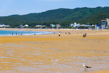 view of the coastal city beach in the summer. Mallipo beach Taean gun city in South Korea 26.06.2023