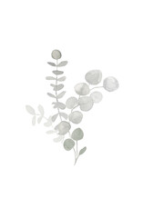 Grey and dusty green watercolor eucalyptus bouquet. Spring and winter botanical illustration for wedding, greeting card, wreath, website. Botanical foliage on white  background